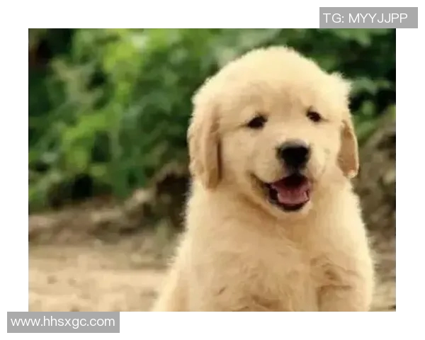 你不知道的伤病名单：十大冷知识大揭秘